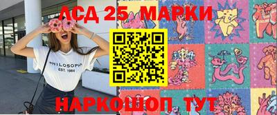 эйфоретик Берёзовский