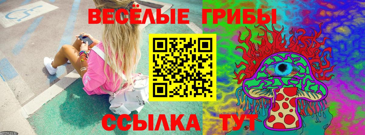 Галлюциногенные грибы GOLDEN TEACHER Сатка