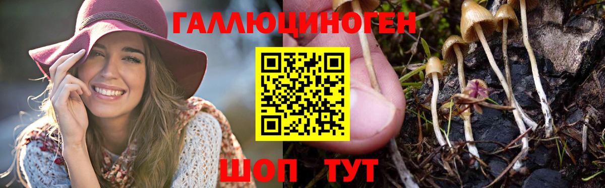 Псилоцибиновые грибы Psilocybine cubensis Сатка