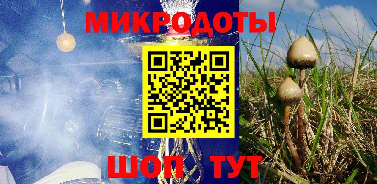 Сатка  где купить наркоту  Вход с VPN  Псилоцибиновые грибы прущие грибы 